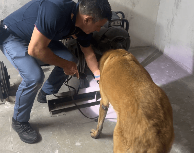 Catania, sequestro di cocaina nascosta nell'ascensore, trovate anche munizioni