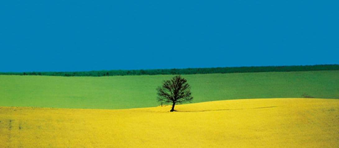Addio a Franco Fontana, maestro della fotografia e del colore