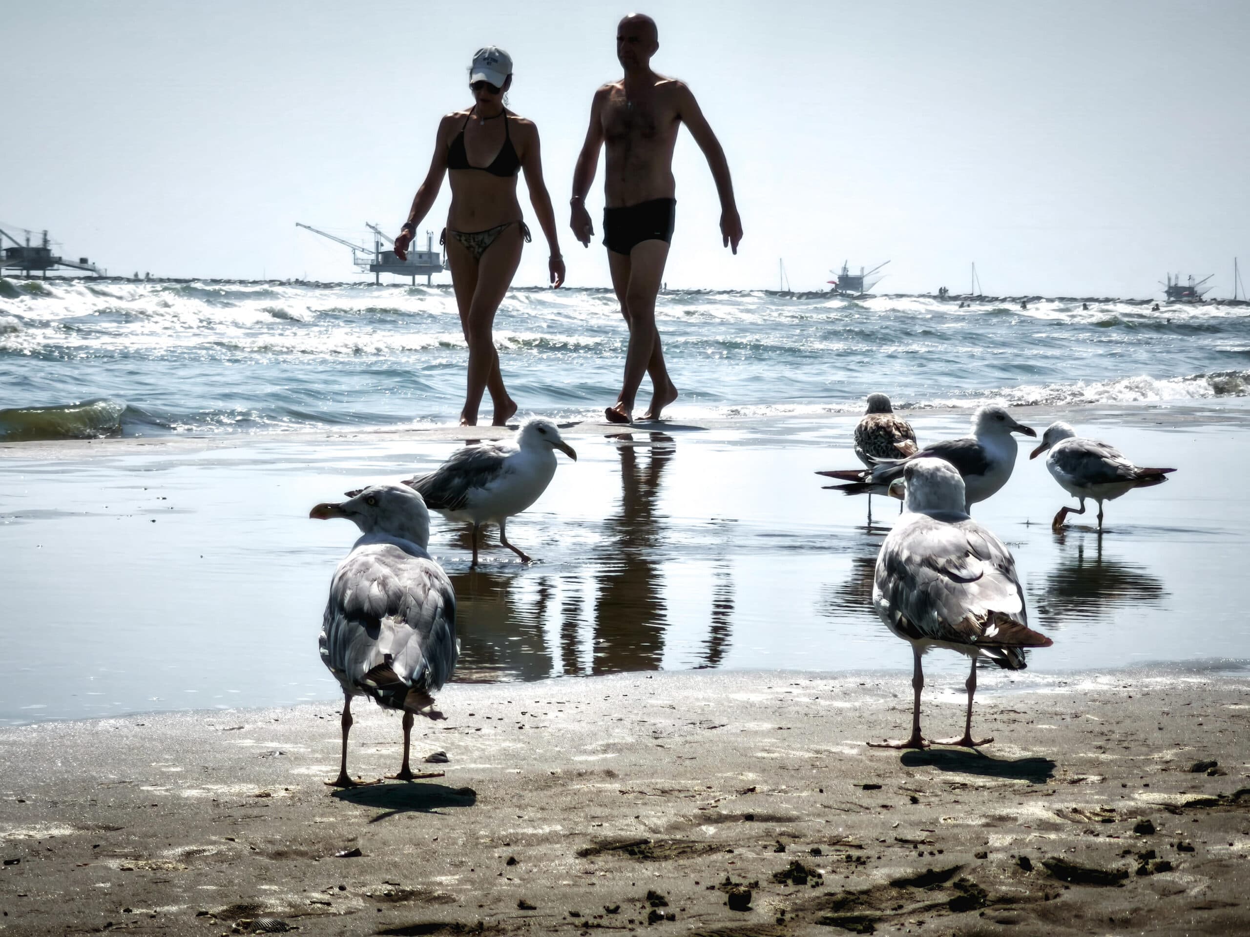 Mai così bollenti i mari, luglio da record: in Europa caldo estremo, siccità e incendi