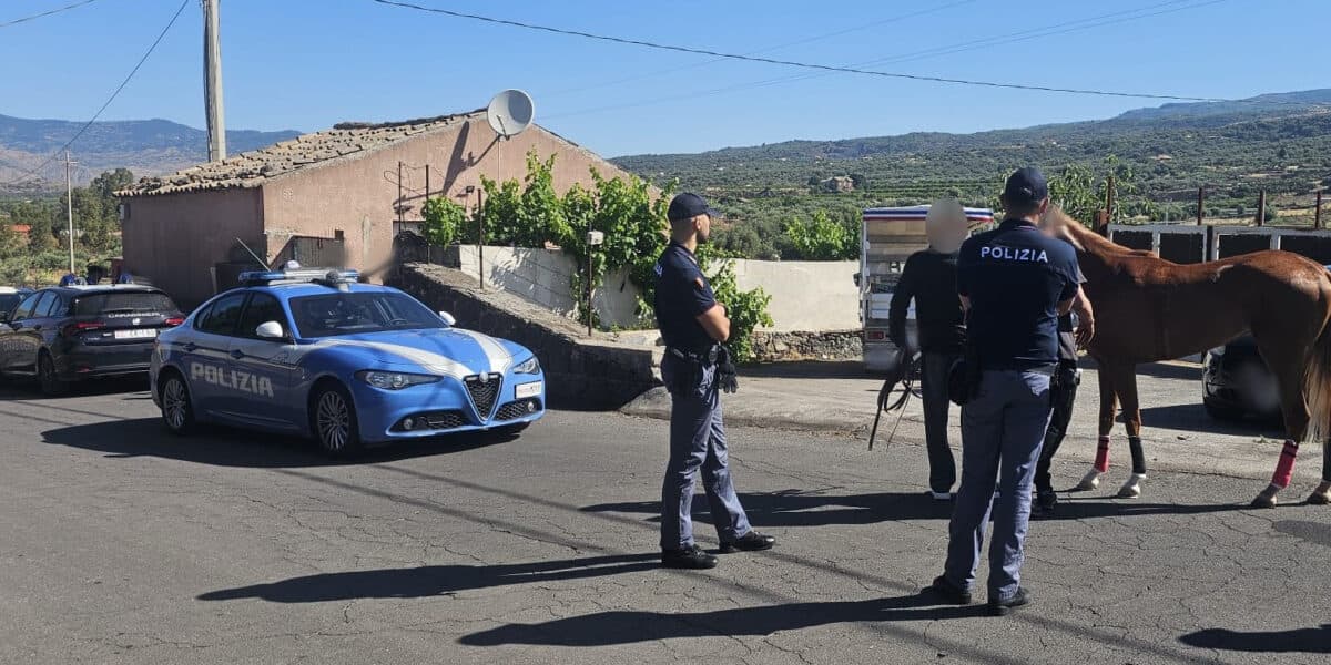 Corse clandestine di cavalli, blitz tra Adrano e Paternò