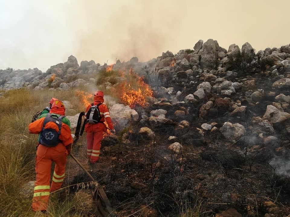 Più ore di lavoro per 16 mila forestali in Sicilia, approvata la norma