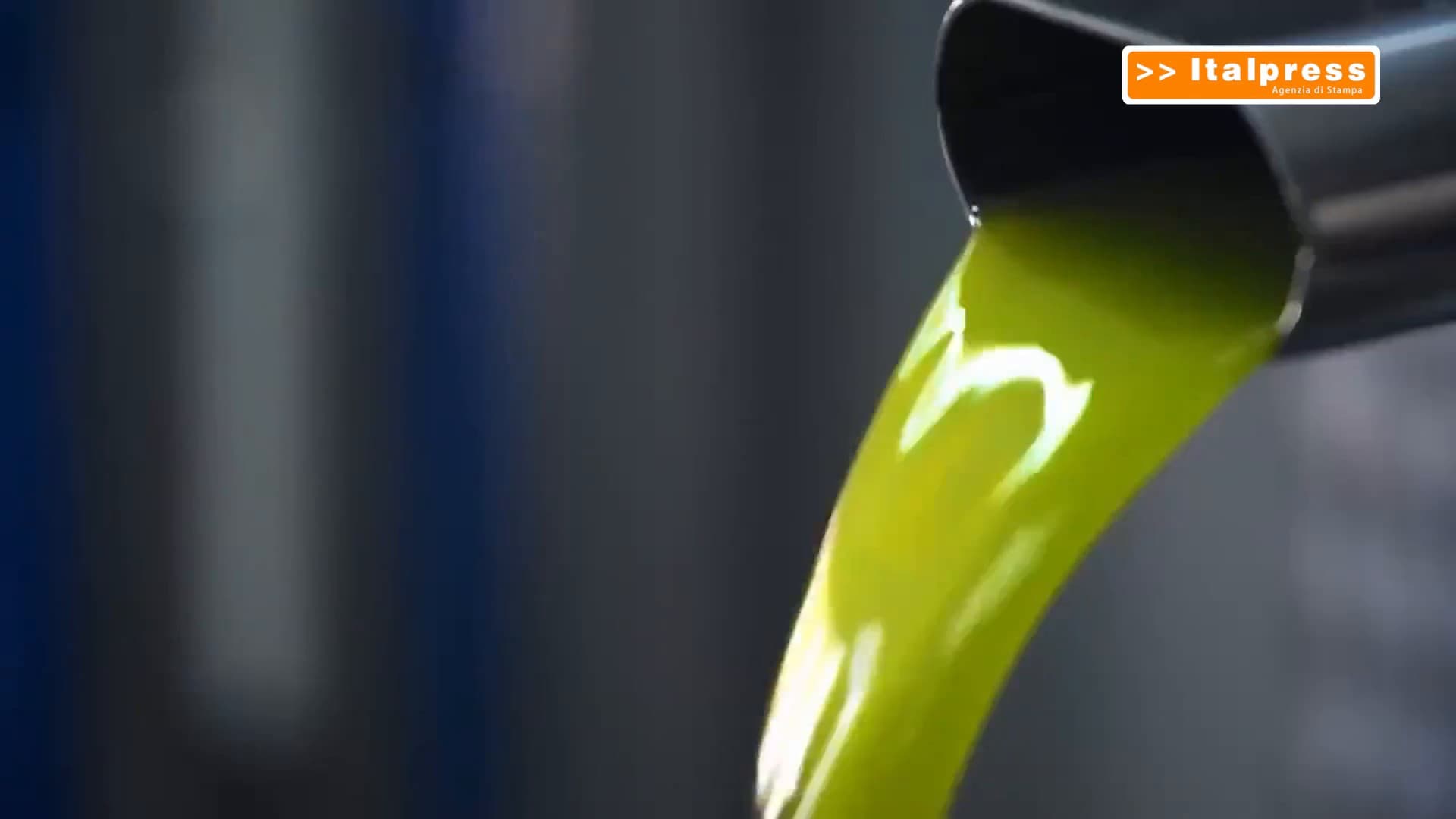 Olio d’oliva, arriva il documento digitale contro le frodi