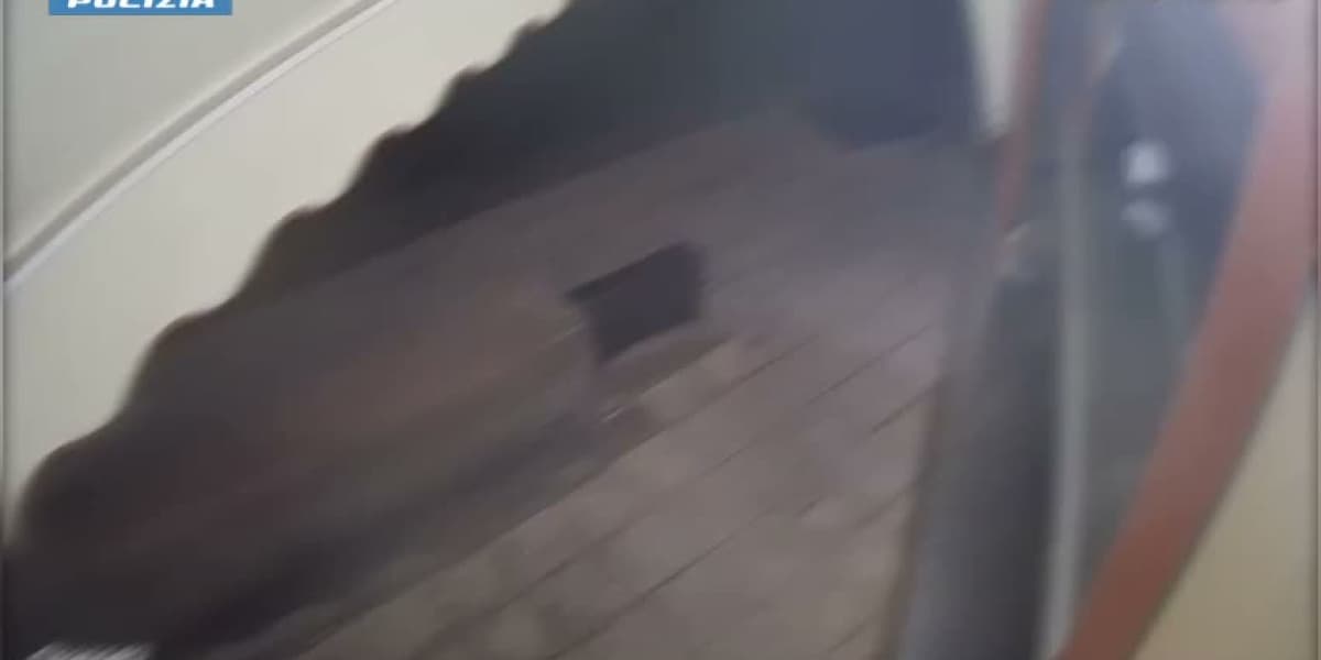 La sparatoria di Catania con tre minorenni feriti, cinque fermi per tentato omicidio