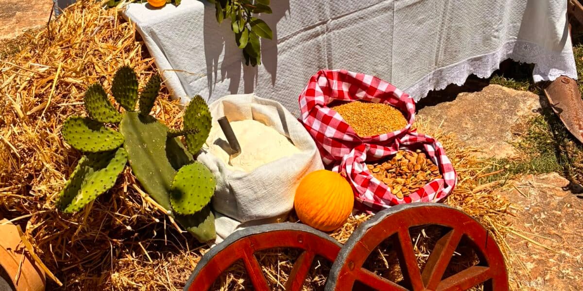 Le aziende agricole siciliane in crisi: «Cento milioni per salvarci»