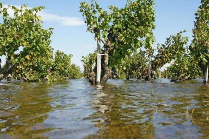 Clima, l'Italia spaccata in due. Agricoltura in ginocchio, danni per 3 miliardi