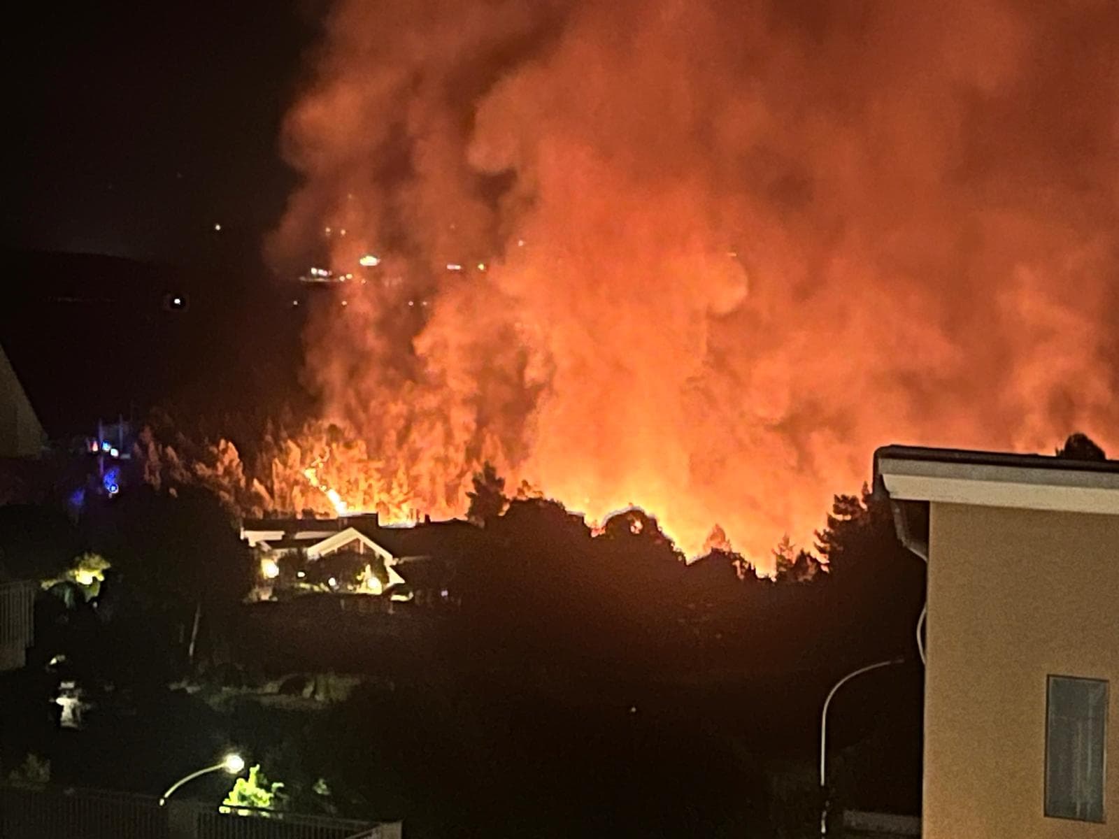 Incendi, oltre 8 mila interventi in tre settimane: ecco la mappa dei danni provincia per provincia