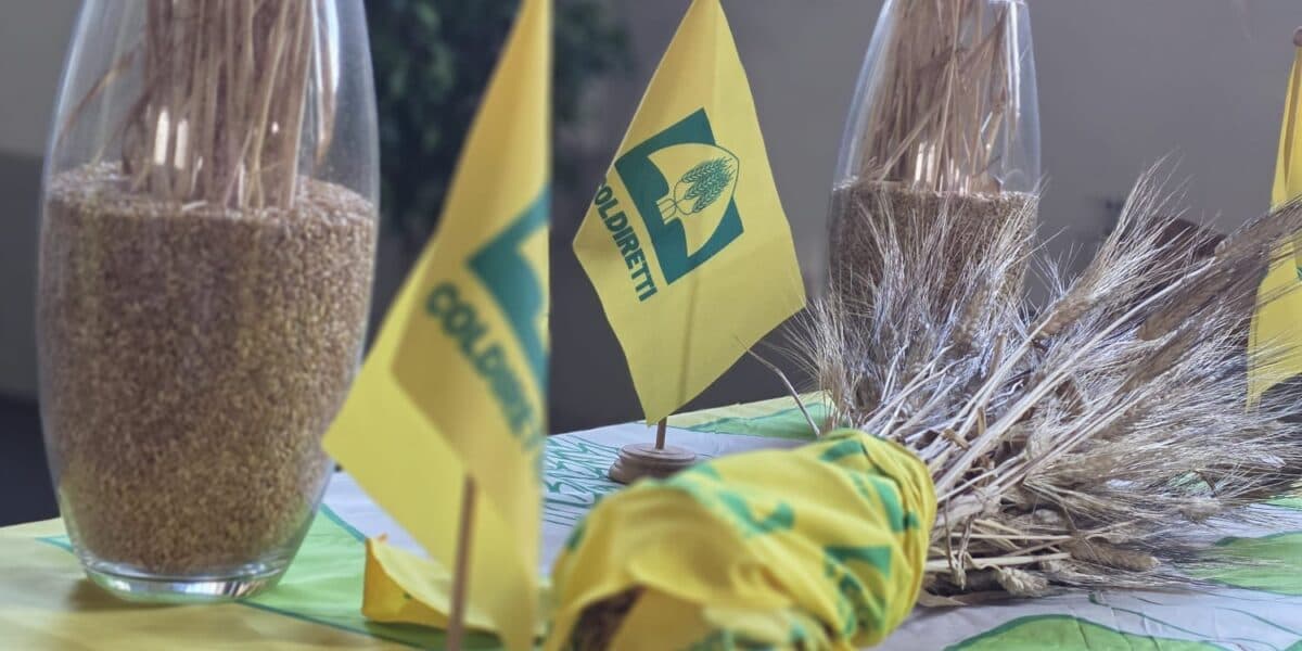 Assemblea Coldiretti con i capigruppo all'Ars, proposte e strategie per salvare l'agricoltura