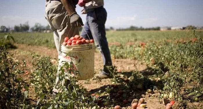 Lo stop al lavoro nelle ore più calde, i sindacati: «Andava estesa ad altre categorie, ora si faccia rispettare l’ordinanza»