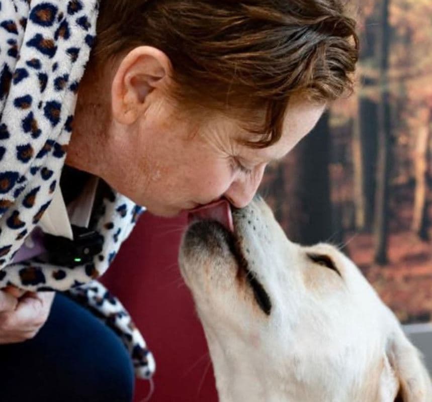 La storia di Joy, il labrador di due anni che «fiuta» il tumore della padrona e la salva