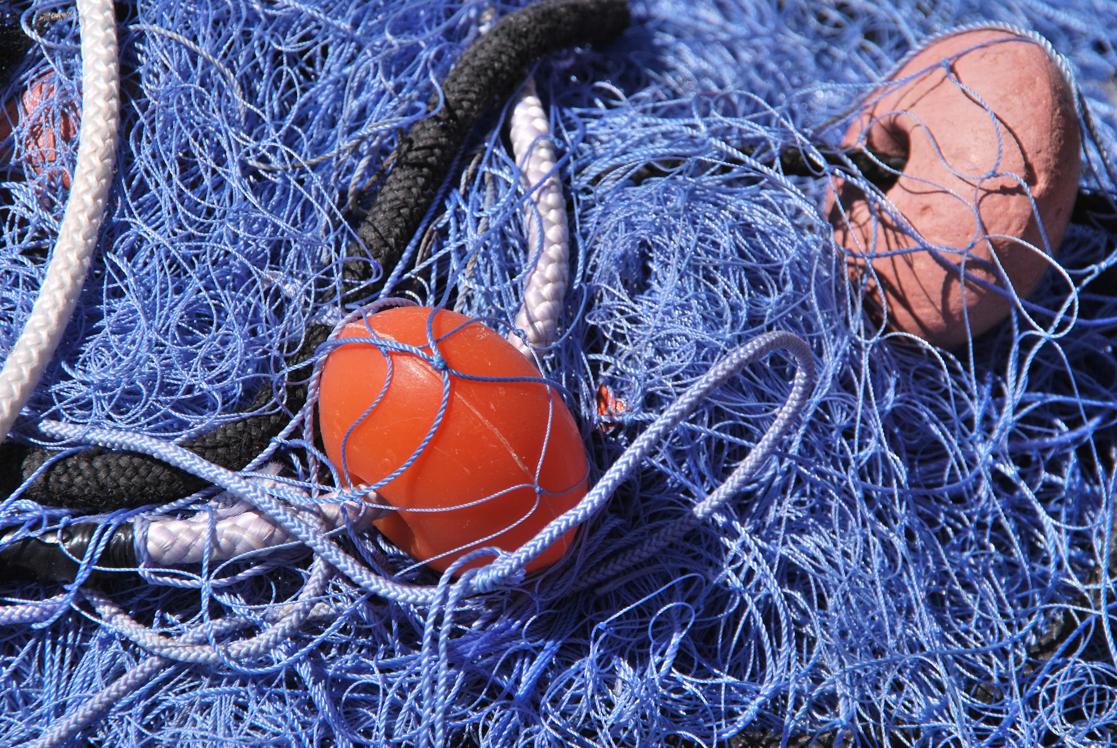 Il Cnr a caccia delle reti da pesca fantasma. Prima tappa a Termini Imerese