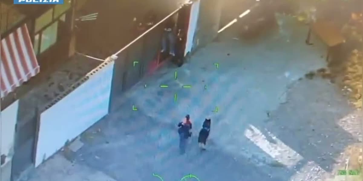 Mafia e traffico di droga a Catania, blitz contro il clan Mazzei: dieci indagati. Il video