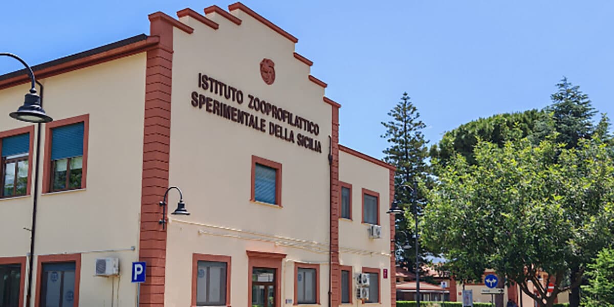 Truffa all'istituto zooprofilattico, il Riesame dissequestra i beni a Costantino, Seminara e Basile