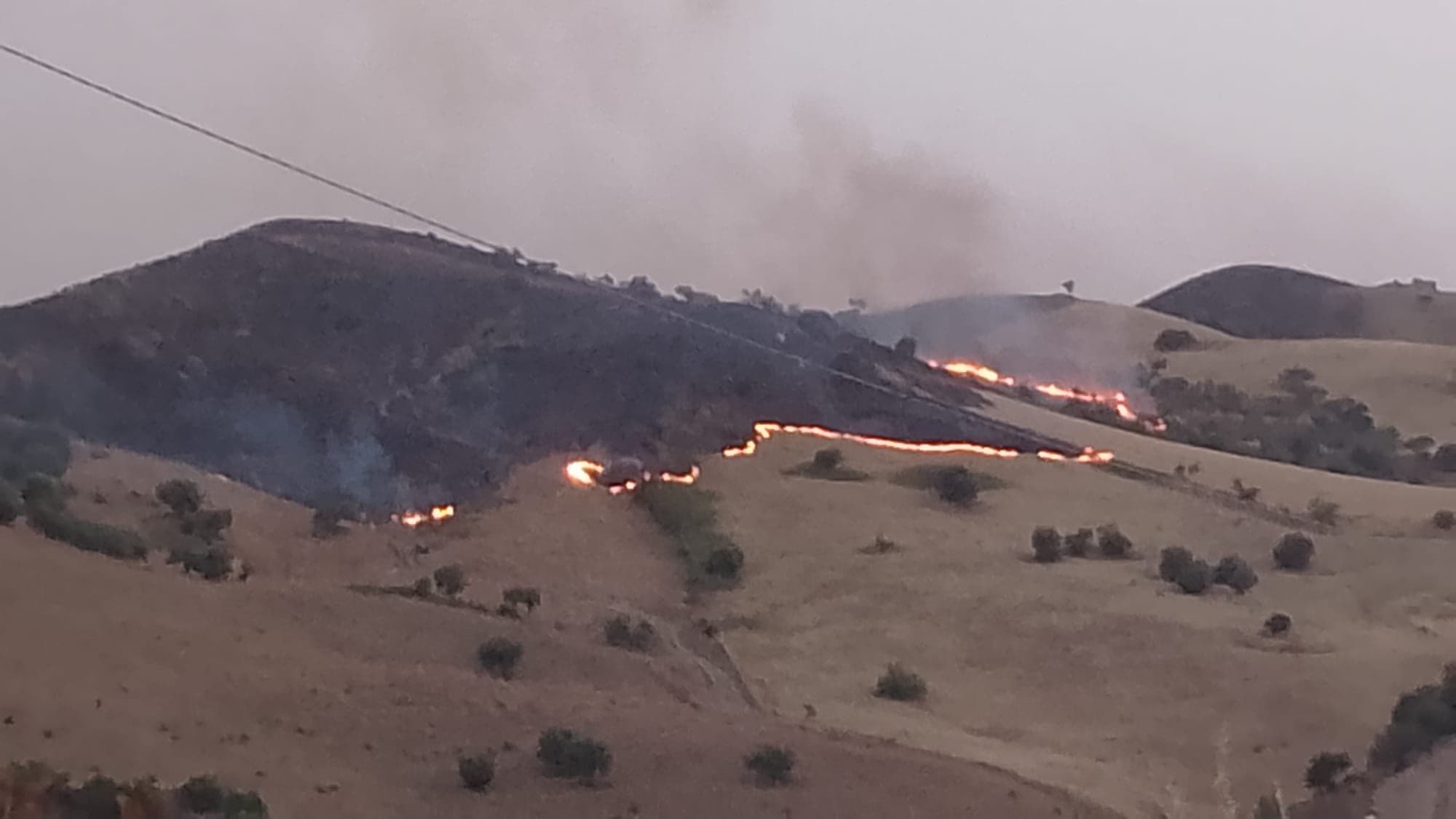 Incendi nella Madonie: «Situazione drammatica, soccorsi in ritardo perchè i mezzi sono guasti»