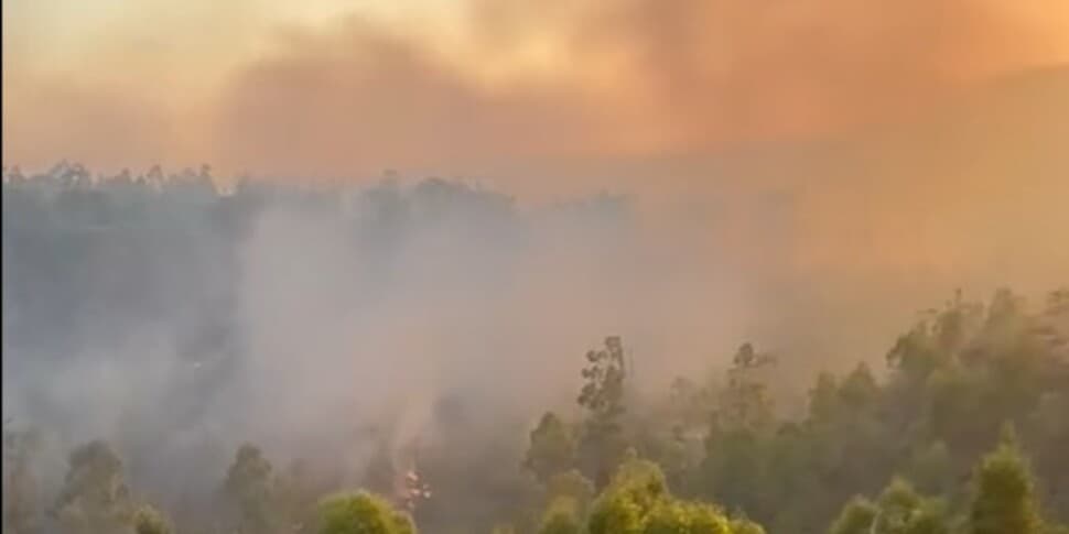 Tragedia a Borgetto, muore un operaio forestale: era impegnato nello spegnimento di un incendio