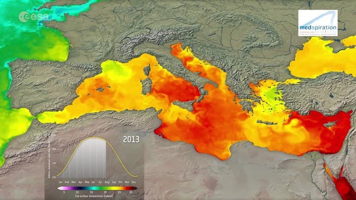 Mari sempre più caldi: il 2025 sfiora il record in Italia, allarme anche per gli oceani
