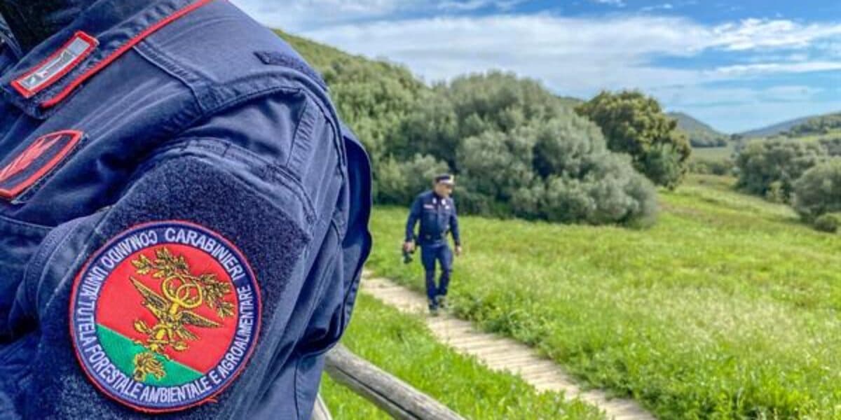 Palermo, scoperto un laboratorio abusivo di "stigghiola": sequestrati 160 chili di interiora