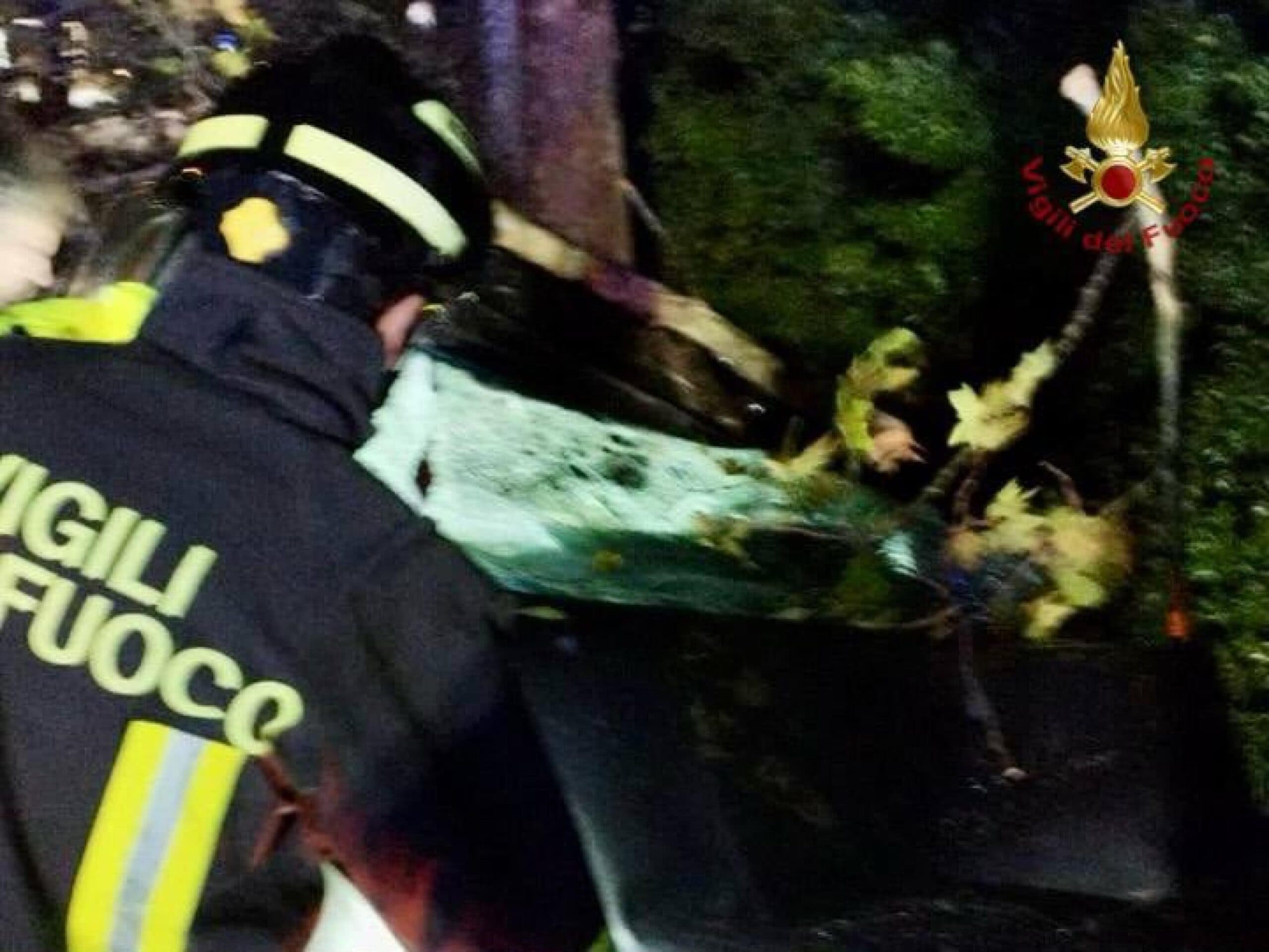 Maltempo, un albero cade su un'auto a Jesolo: muore un 46enne