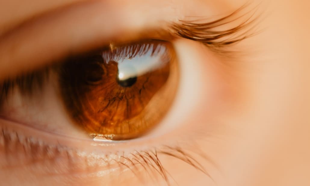 Progressi significativi dell'optogenetica nella cura di una patologia retinica