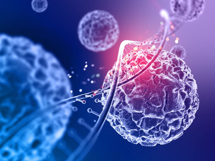 «L'intelligenza artificiale può creare nuovi virus»