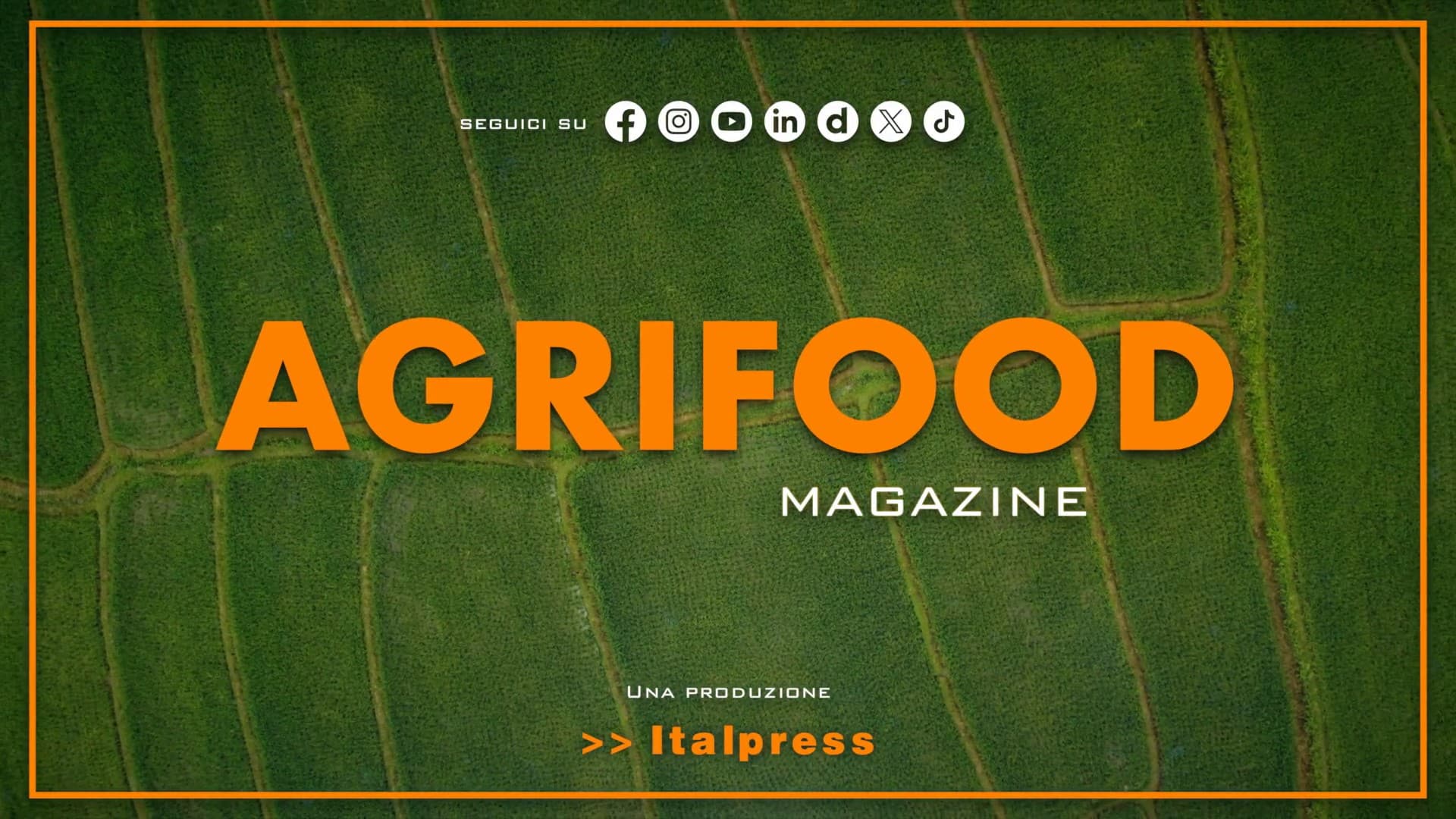 Agrifood Magazine – 9/9/2026